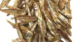 LIMITED STOCK - Air dried Smelts 50g.jpg